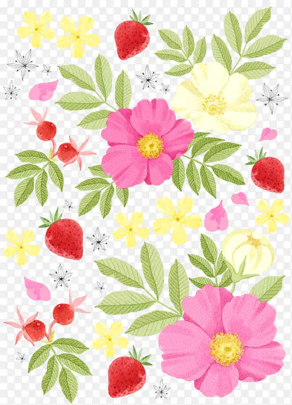 水彩画插图.花卉草莓装饰图案材料