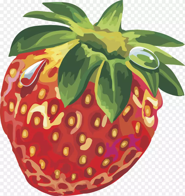麝香草莓果实-载体草莓果实