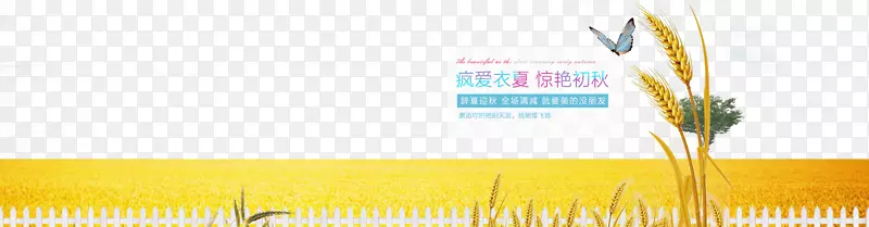 平面设计品牌黄色壁纸-令人叹为观止的秋麦蝴蝶海报布局