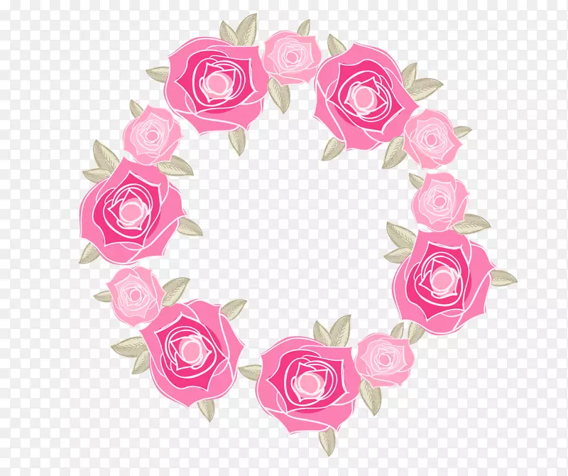 静物：粉色玫瑰沙滩玫瑰花园玫瑰-粉红色玫瑰花装饰边框