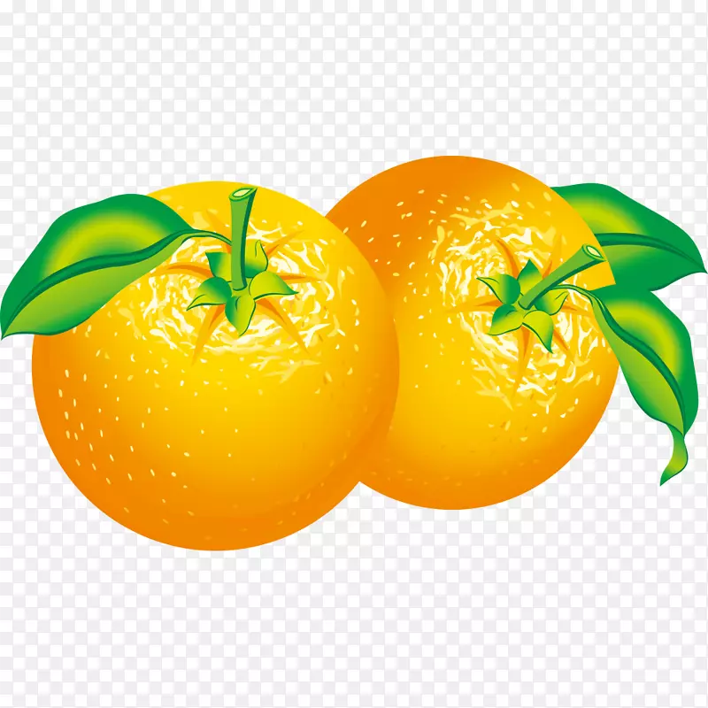 橙色柑橘剪贴画.三维超级橙色材料