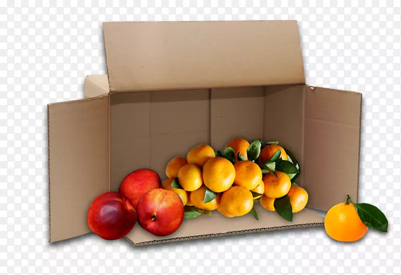 纸盒水果奥格里斯柑橘果盒