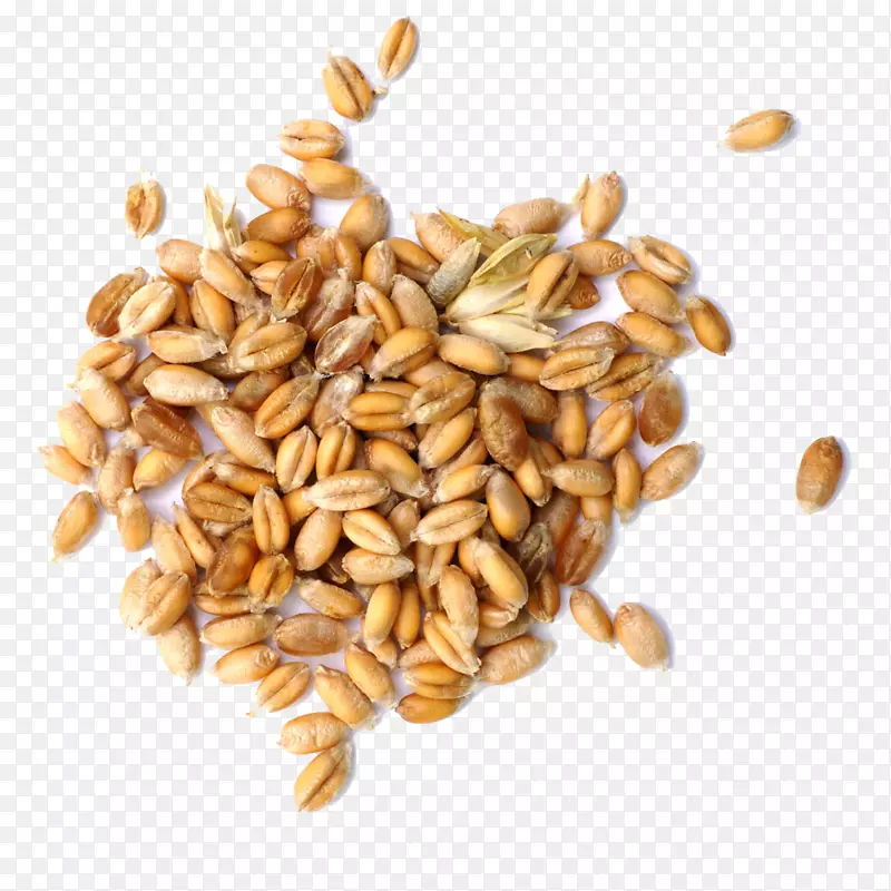 谷类市场分析食品发芽小麦将免费扣创意HD。