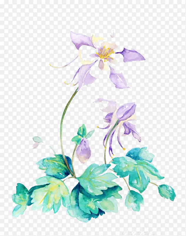 花卉设计水彩画插图水彩画花卉