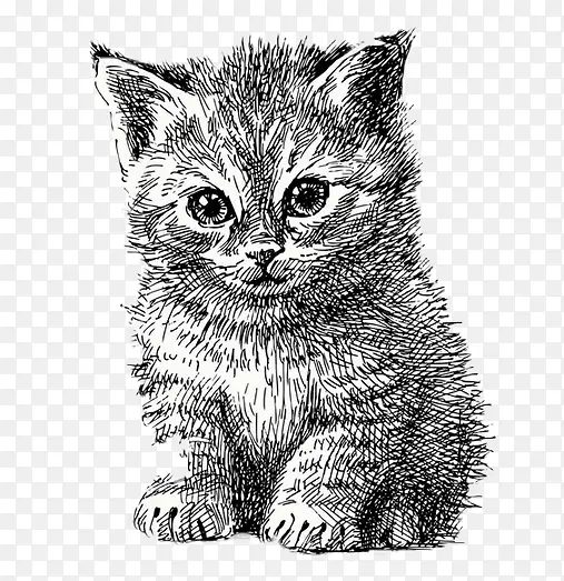 猫小狗线艺术手绘卡通猫简单笔画插图