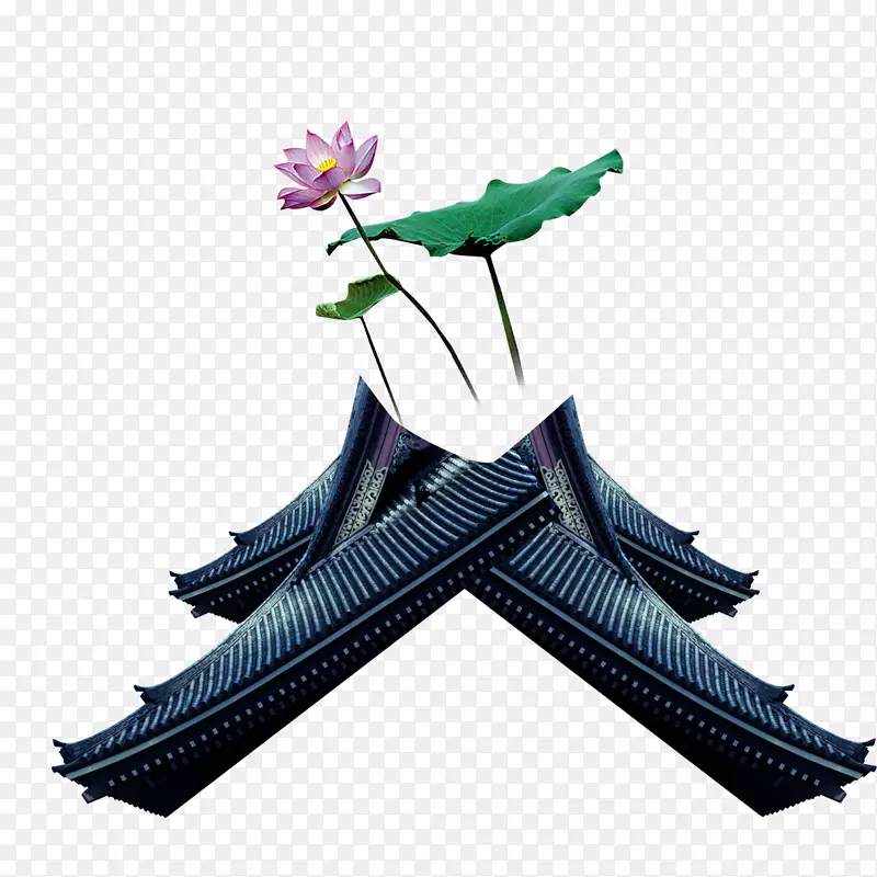 计算机文件-Lotus