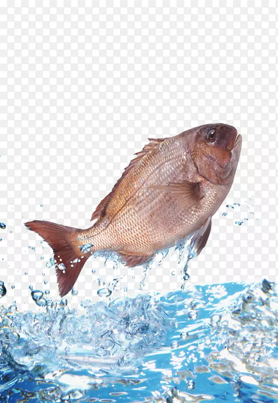 水鱼夹艺术-鲤鱼跳出水面