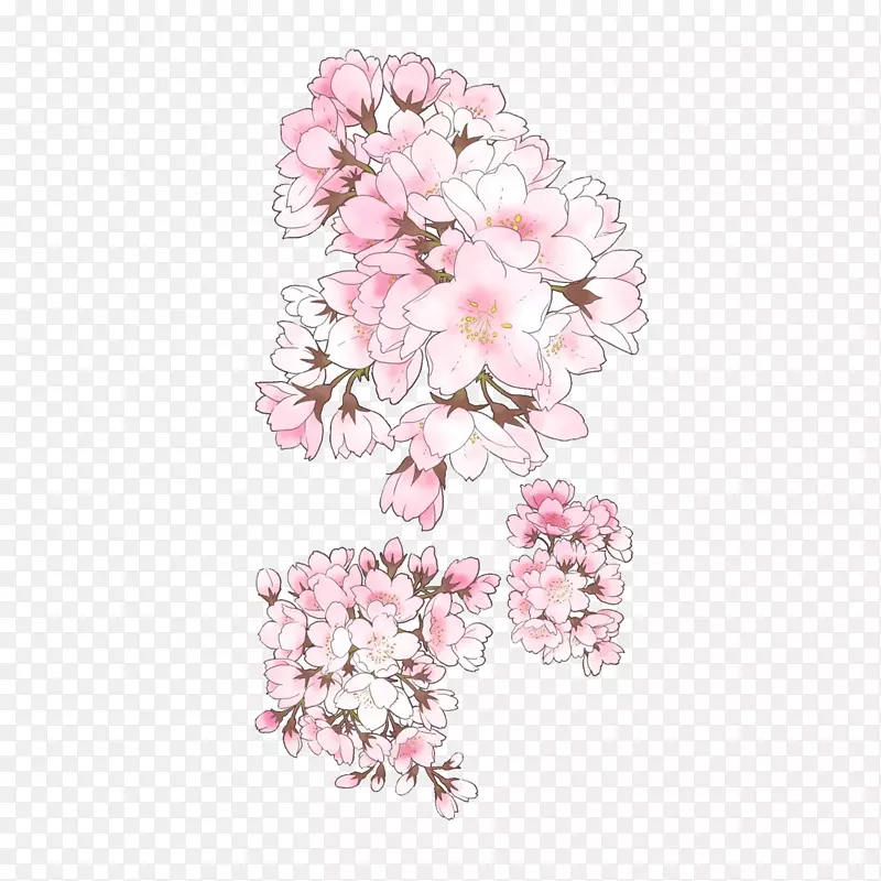 Pixiv樱花素描插图-复古手绘樱桃树无扣材料