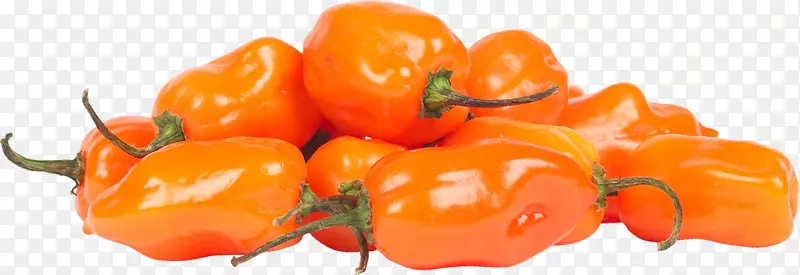 意大利料理辣椒水果蔬菜菜