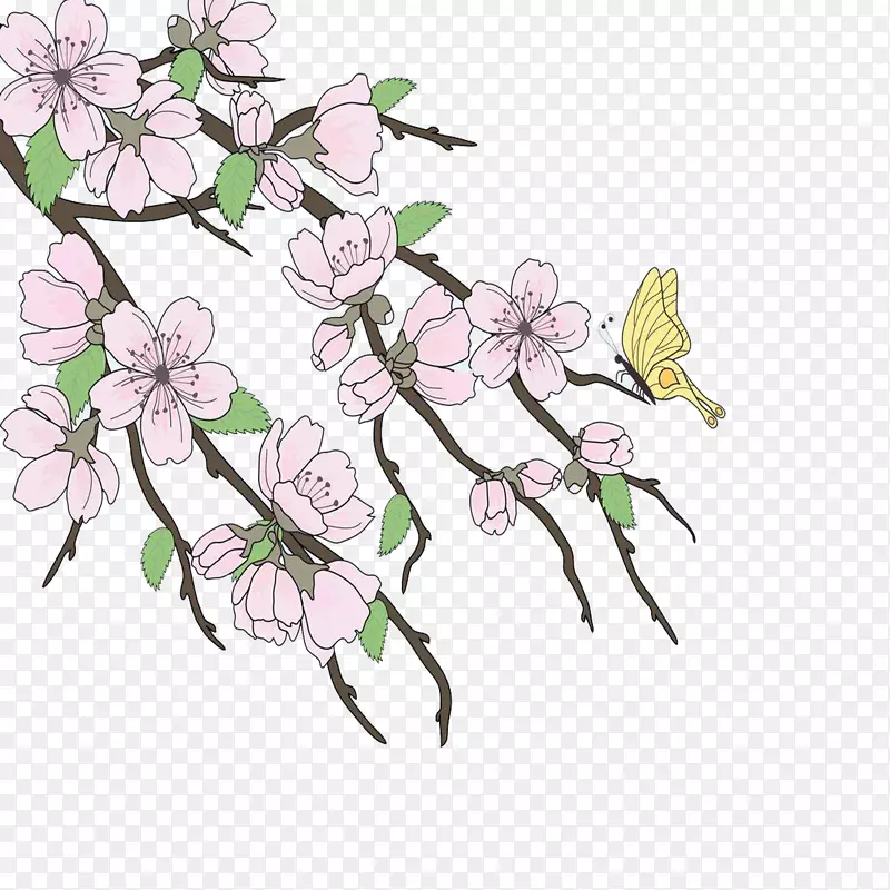 樱花画枝-美丽的手绘樱桃树扣免费材料