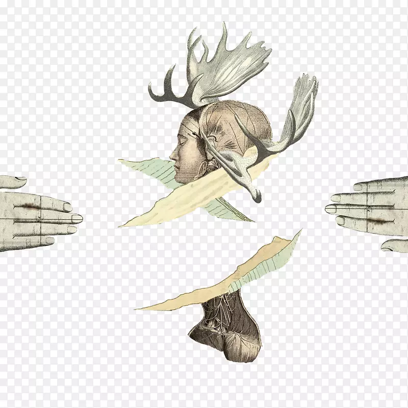 设计师插图.手绘复古肖像画