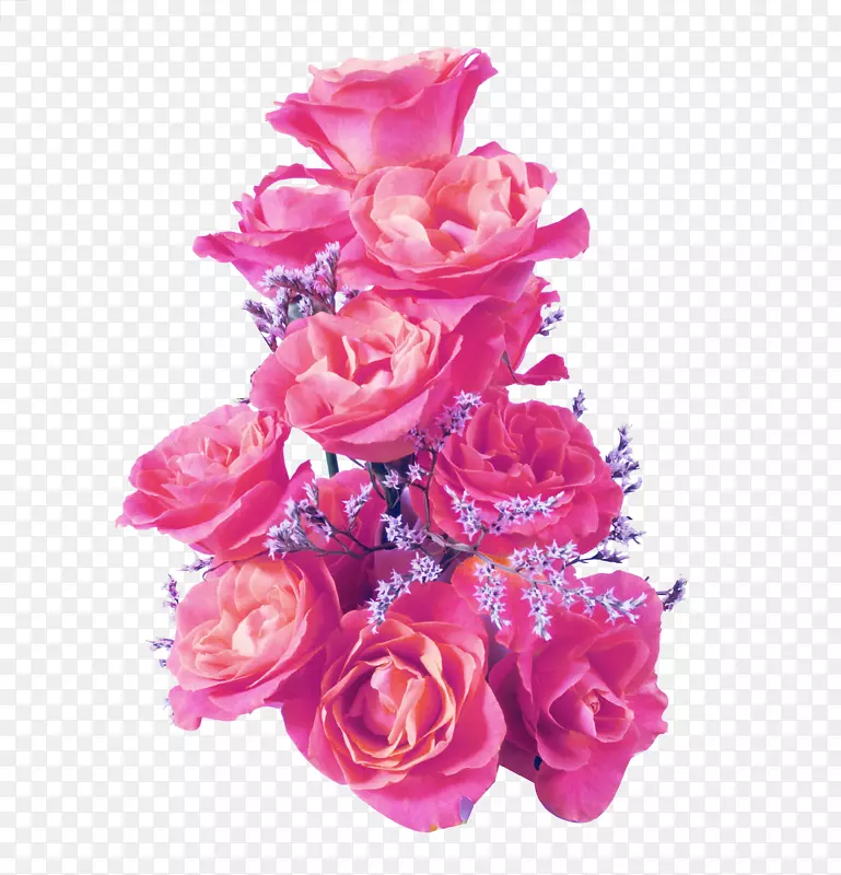 玫瑰报价-粉红色玫瑰花瓣