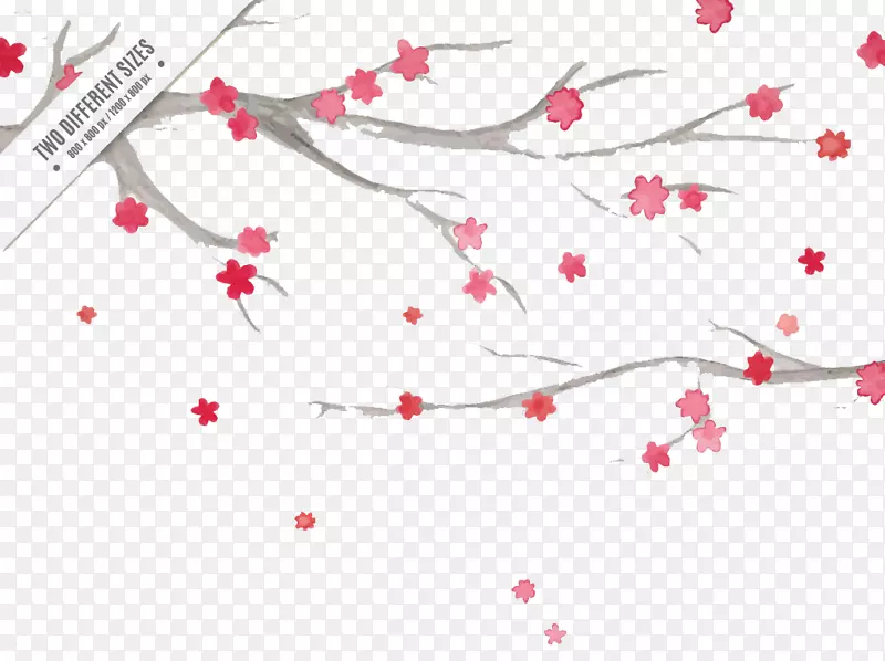 水彩画樱花-可爱的水彩樱桃树枝和创意