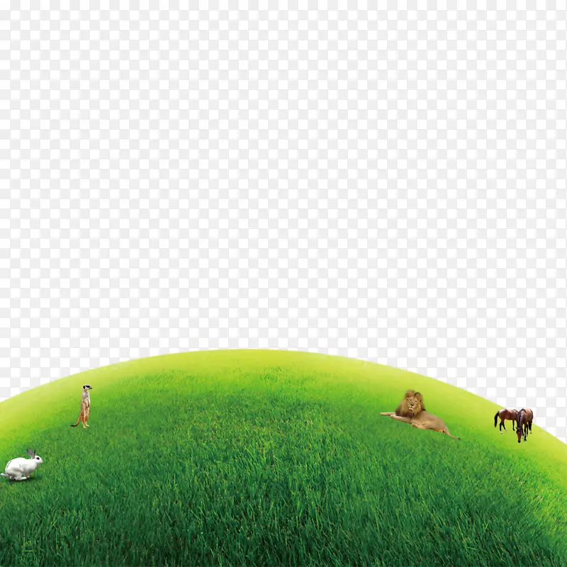 草地绿色天然草地壁纸-天然绿草