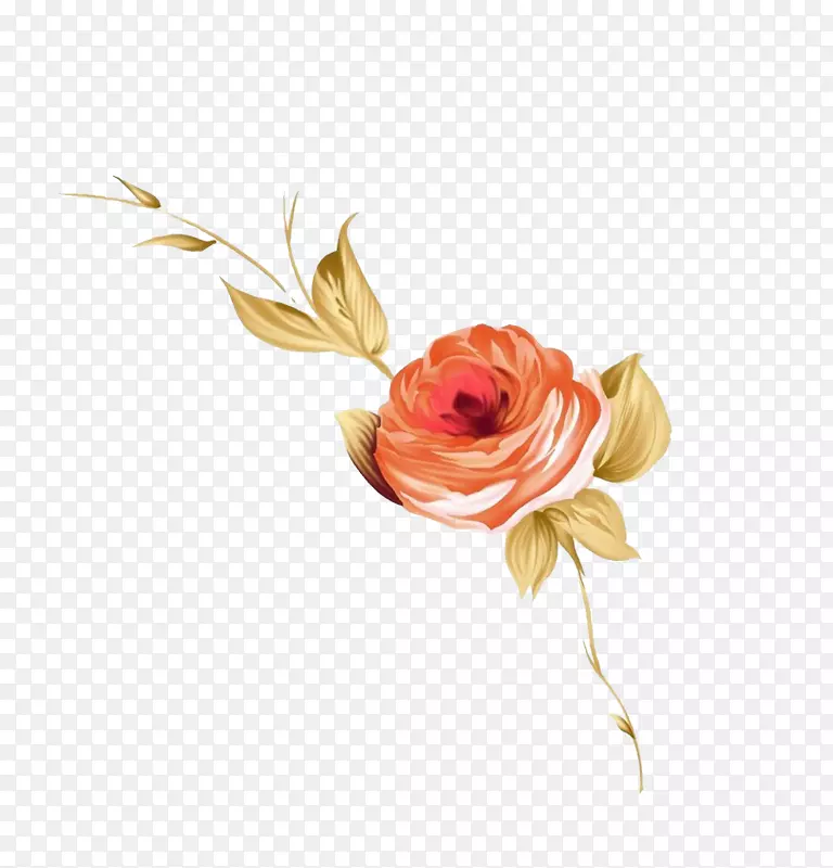 花滩玫瑰月季插图-玫瑰插图