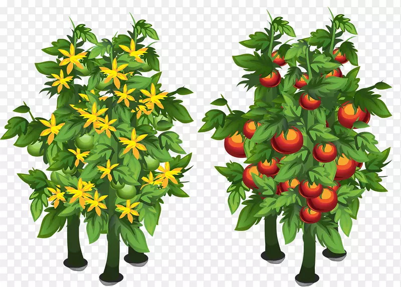 下载树花与果实