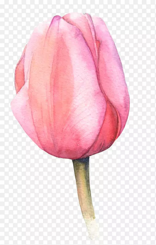 动画、掌声、笑脸、表情、墙纸-水彩画花