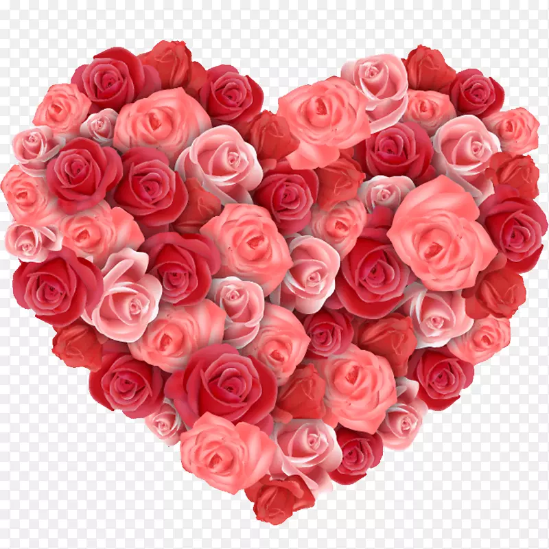 花心玫瑰，情人节-玫瑰把爱放在一起
