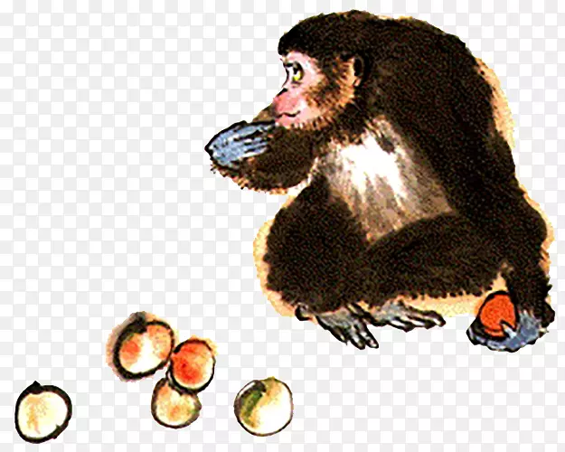 猴子手指-猴子吃水果