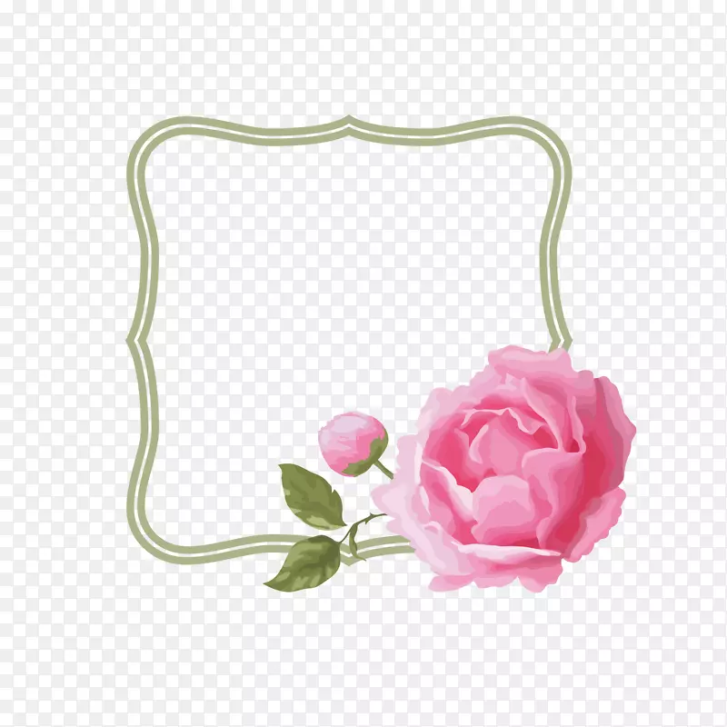玫瑰花下载-粉红色玫瑰边框