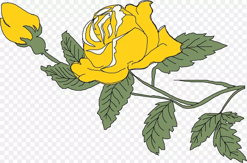 海滩玫瑰结婚纪念日插图-黄玫瑰