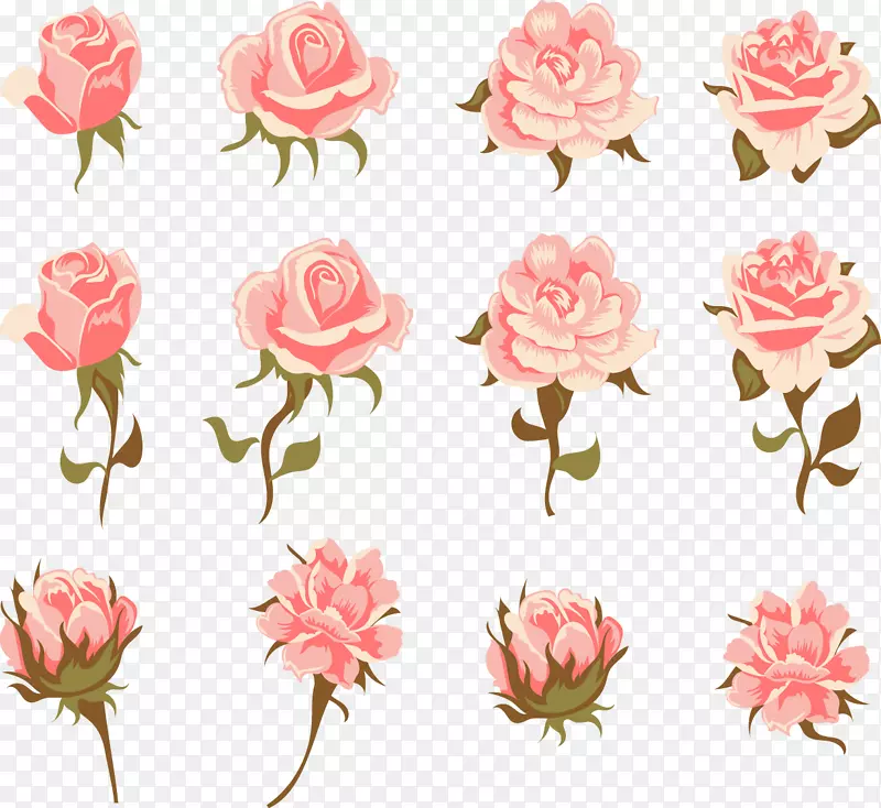 花园玫瑰，蜈蚣玫瑰，粉红色花，复古服装-浪漫的粉红色玫瑰