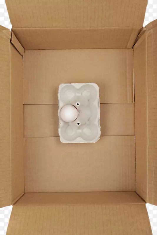 纸箱包装和鸡蛋标签-纸盒中的鸡蛋盒
