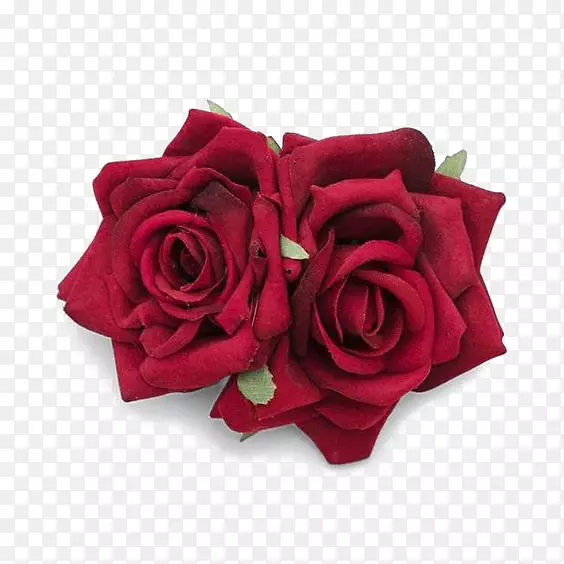 花园玫瑰沙滩玫瑰红色花瓣花朵-红色玫瑰自由按钮元素
