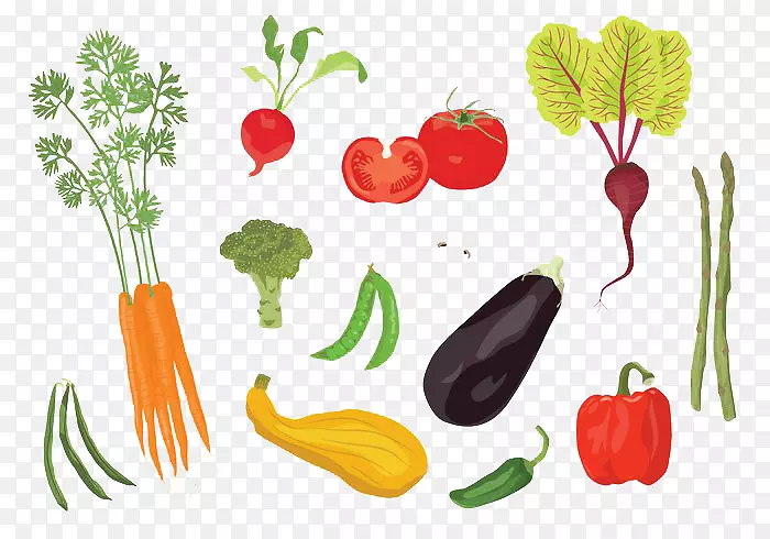 番茄图形设计插图.食用蔬菜