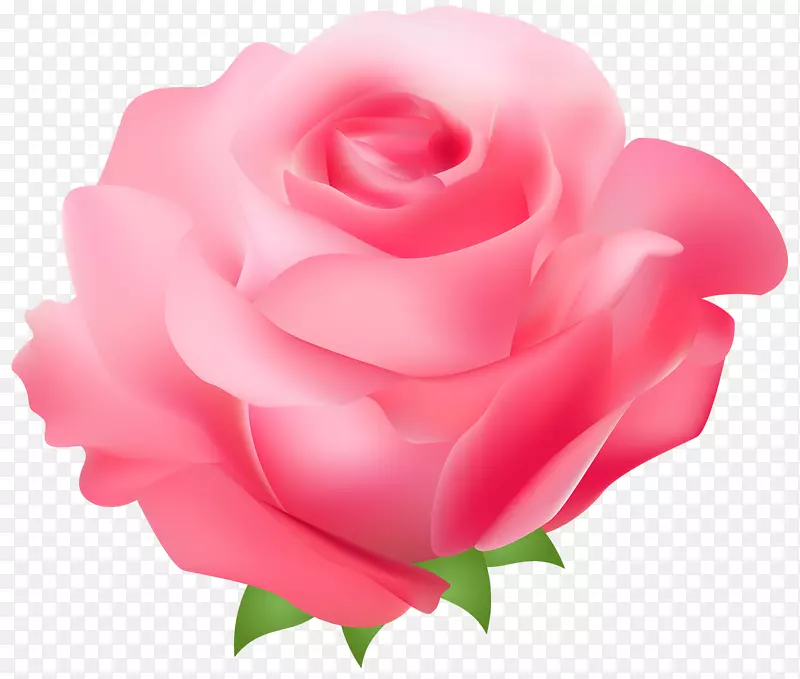 玫瑰粉色免费剪贴画-粉红色玫瑰