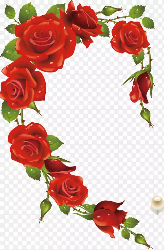 玫瑰画框心红玫瑰