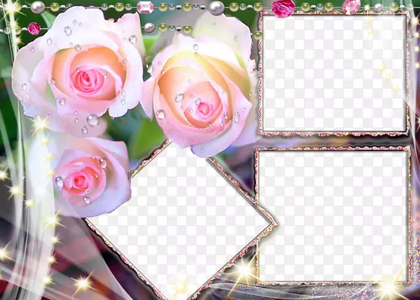玫瑰花高清电视1080 p壁纸-粉红色玫瑰花边框
