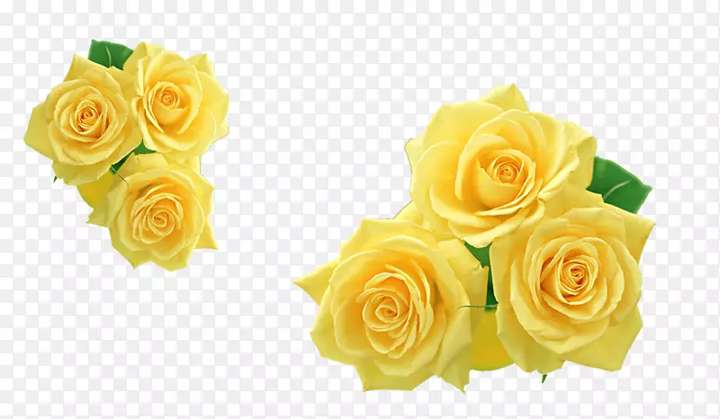玫瑰黄花剪贴画-黄玫瑰