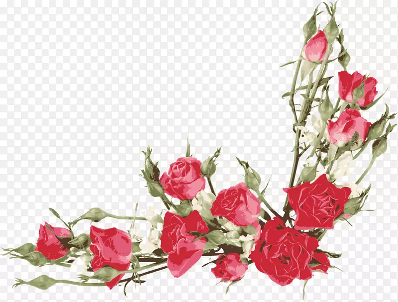 玫瑰花花瓣剪贴画水彩画
