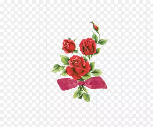 玫瑰免费内容剪辑艺术-红玫瑰绽放