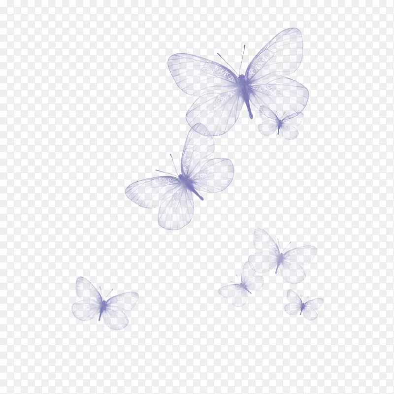 蝴蝶紫色透明半透明-美丽的蝴蝶