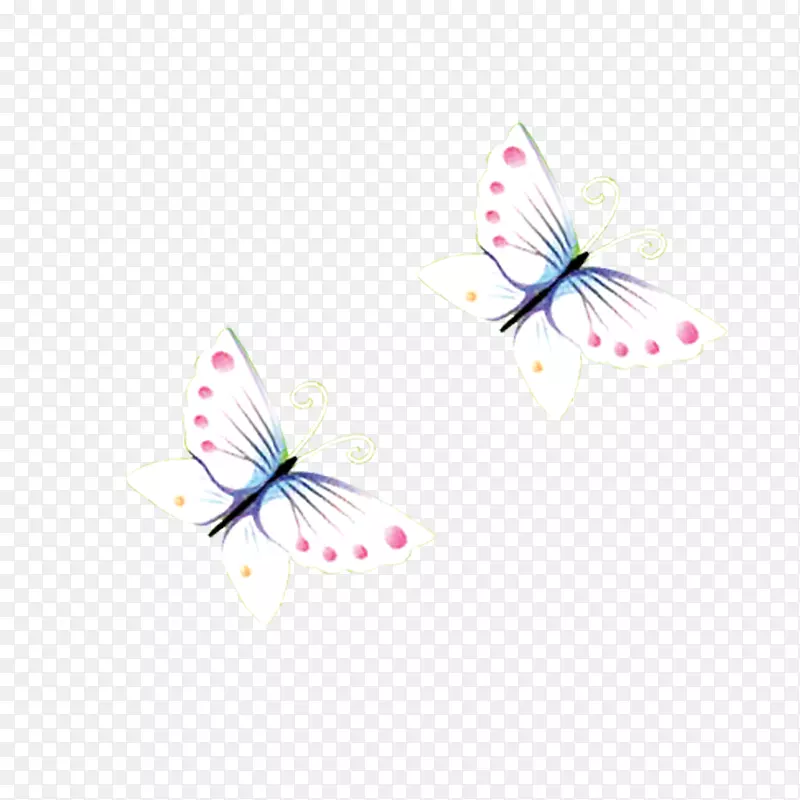 蝴蝶花瓣电脑壁纸-蝴蝶