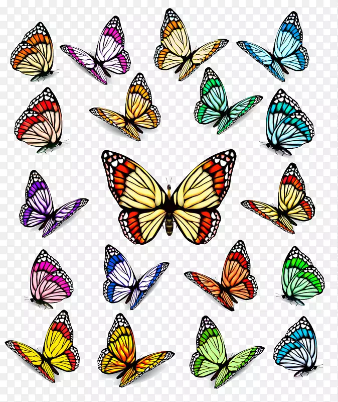 免费摄影插图-创意蝴蝶