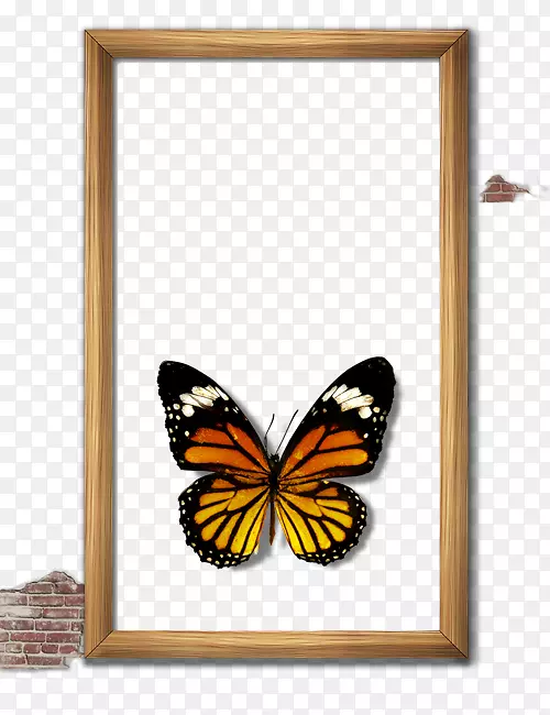 蝴蝶画框计算机文件蝶框