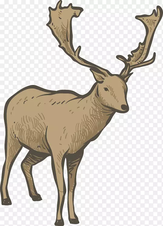 驯鹿麋鹿马鹿手绘圣诞卡通成年鹿