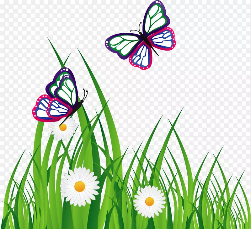 Adobe插画机图形设计下载-雏菊蝴蝶