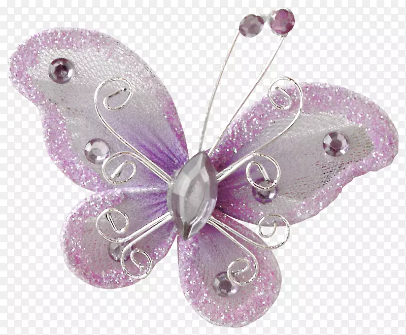 蝴蝶展示-美丽的紫色蝴蝶