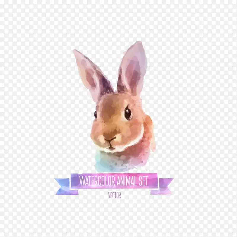 兔水彩画插图.手绘兔