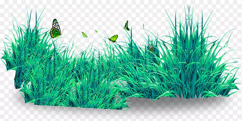 蝴蝶草坪下载-美丽的蝴蝶和草坪