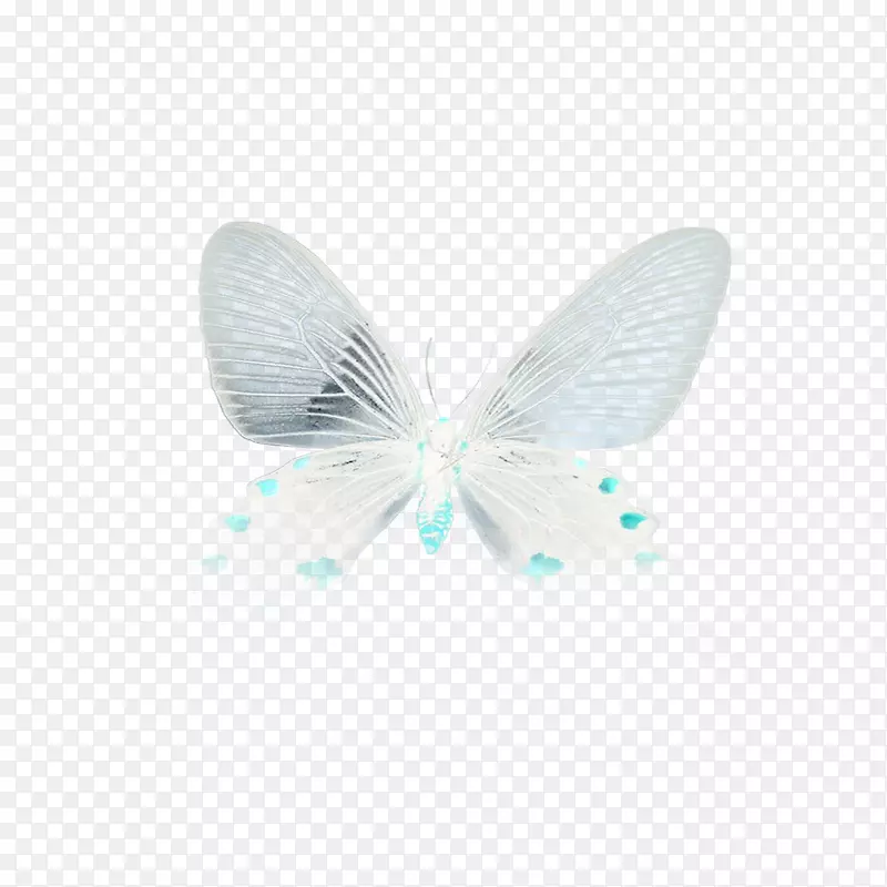 蝴蝶绿松石微软天蓝色-浮动蝴蝶
