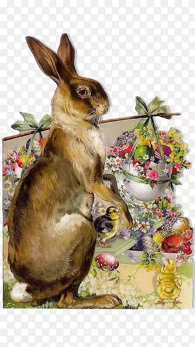 复活节兔子妈妈复活节彩蛋-复古兔插图