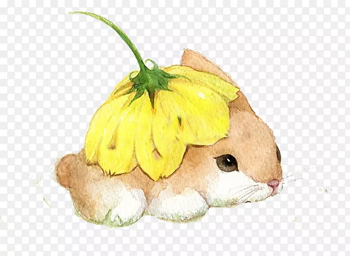 兔水彩画插图-兔花下
