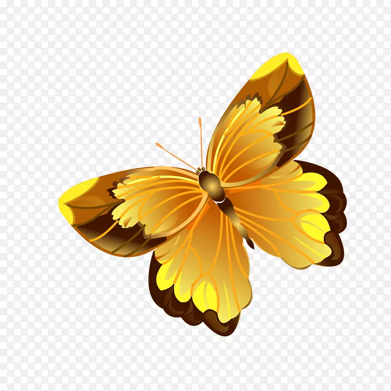 蝴蝶软件壁纸-卡通黄色蝴蝶