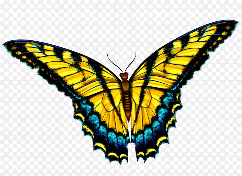 蝴蝶剪贴画-智能蝴蝶图案