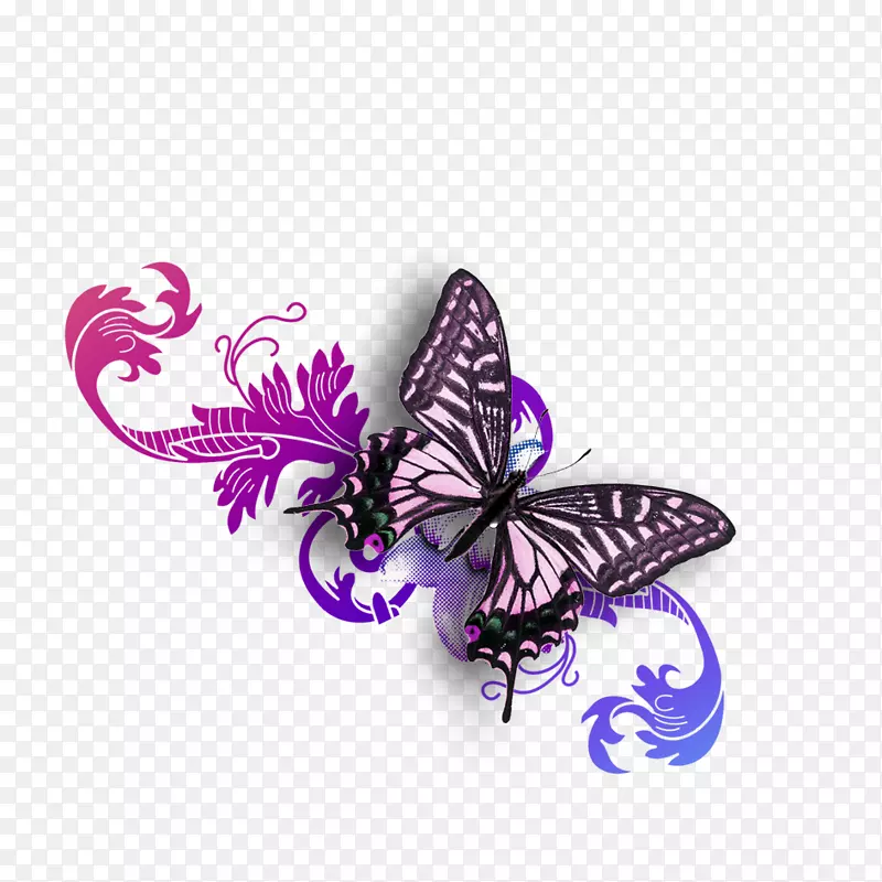 蝴蝶紫蝶材料